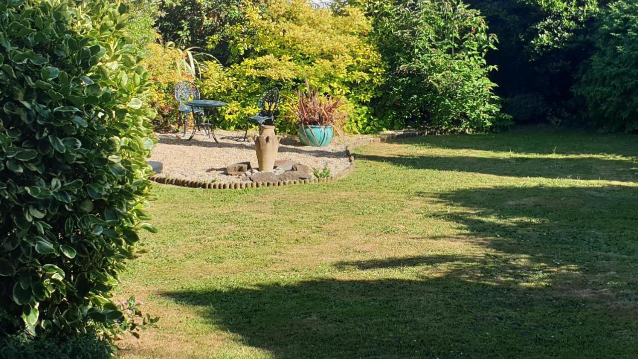 Beautiful Garden Apartment In Leafy St Leonards 5 Mins To Beach Εξωτερικό φωτογραφία